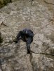 david climbs paradise lost