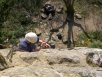 david climbs paradise lost