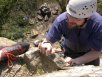 david climbs paradise lost
