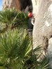 climbing at La Creveta - Main wall