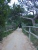 climbing the Peon dIfac